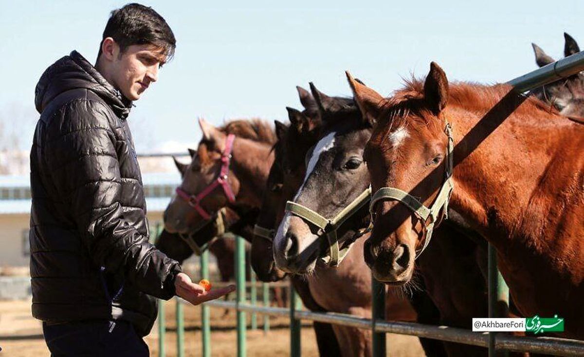 سردار آزمون چه تعداد اسب‌ دارد؟
