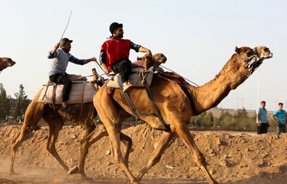 شترسواری ایران به بازی های کشورهای اسلامی اعزام می شود؟

