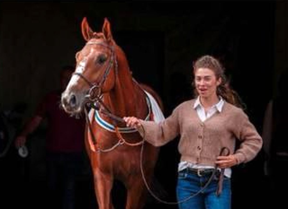 گرانترین خرید حراج فرانسوی‌ها، تولید ایران است