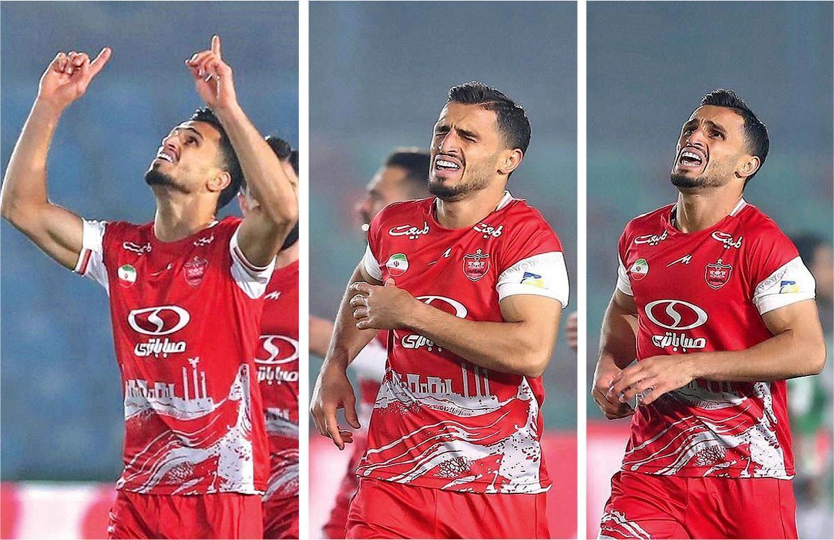 در مورد یک گریه پربیننده و اظهارنظر عجیب گزارشگر تلویزیون
