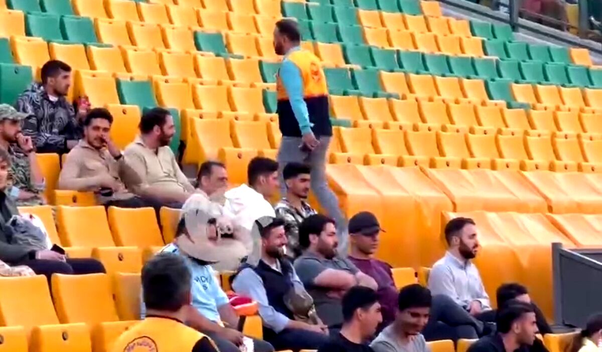 
عجیب اما واقعی، حضور تعدادی از هواداران آقا در آزادی!
 