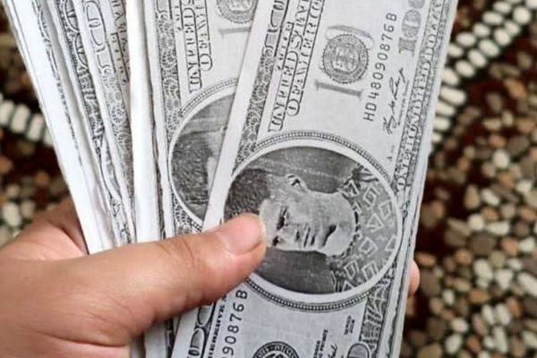 چاپ دلار با عکس پیام نیازمند 