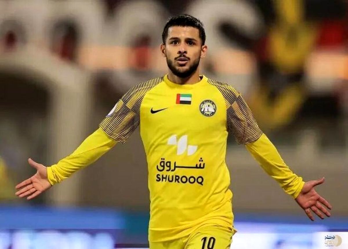 واکنش متفاوت مهدی قایدی به حامیان اسرائیل با استعاره از سگ گله