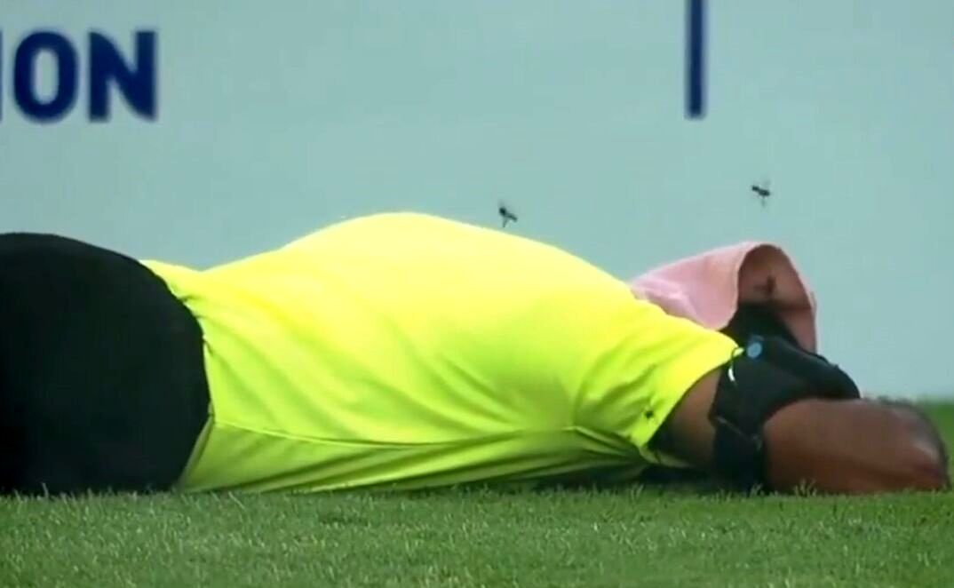 اتفاق عجیب در فوتبال هند؛ حمله زنبورها باعث فرار هواداران و از پای در آمدن داور شد/ ویدئو

