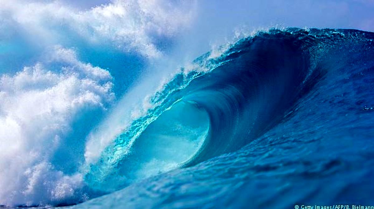 مرگ موج‌سوار ایتالیایی در پی برخورد با اره‌ ماهی!
